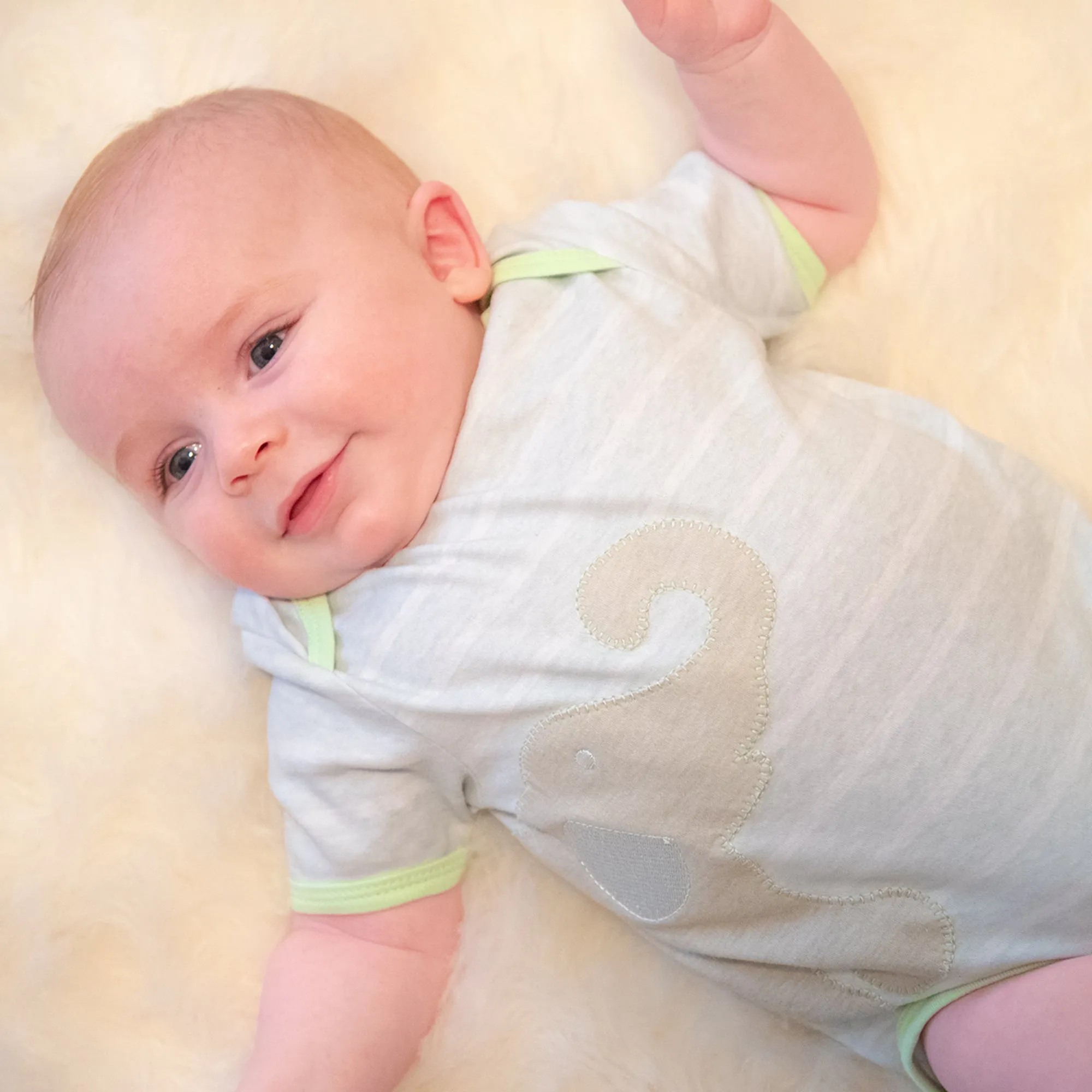 Alligator Lime Dot Onesie 0-6 Months